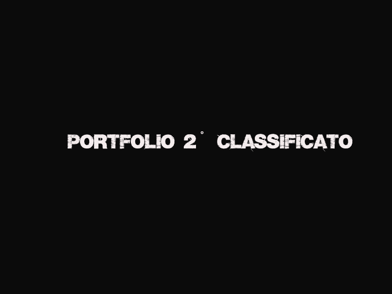 portfolio 2.jpg